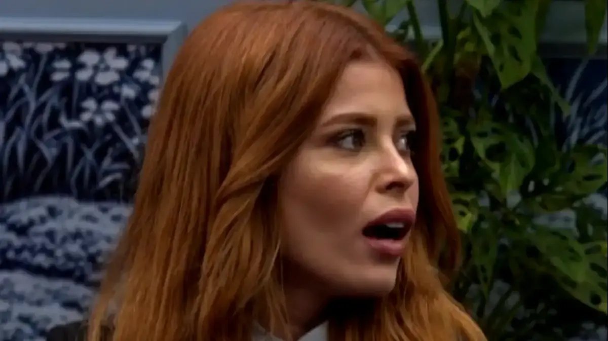 הודיה כהן בהלם כשגל רובין נכנסה לאח הגדול : הסיבה האמיתית