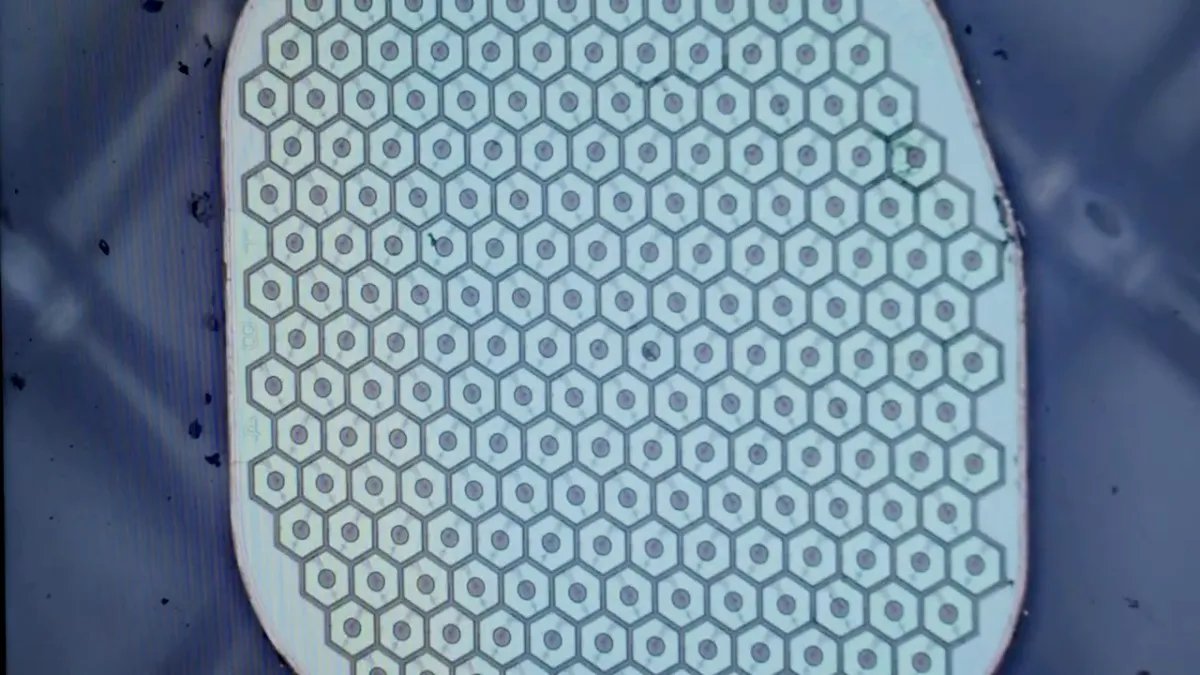 Science Corporation: מתי החיישן הראשון ייכנס למוח אנושי?