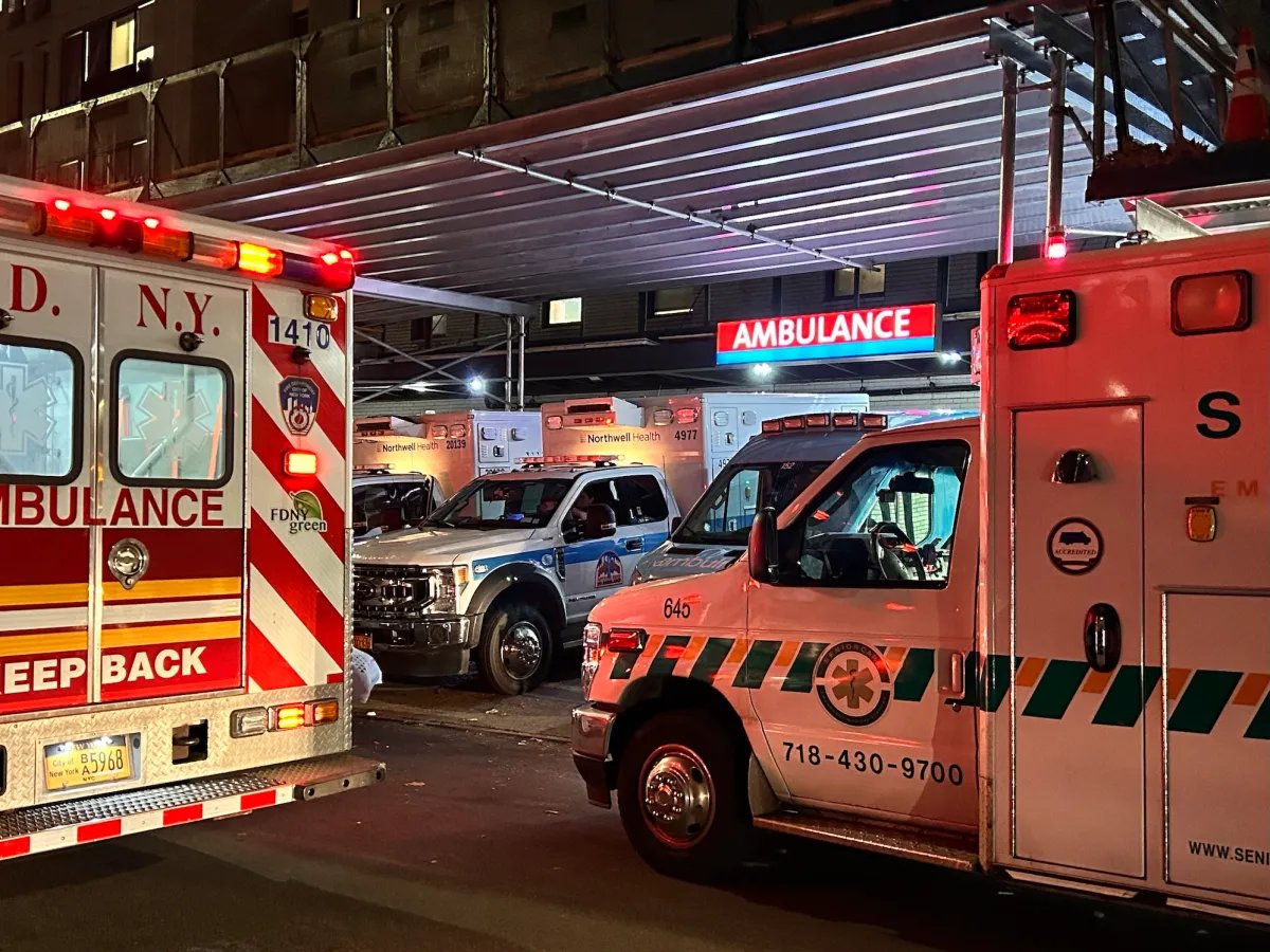 NYC Health + Hospitals: למה נגנבו טביעות אצבע ונתונים רפואיים ל-1.8 מיליון?