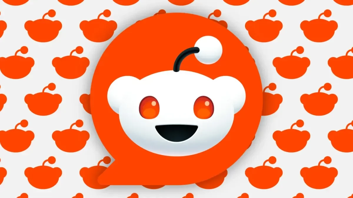 Reddit סוף סוף: למה כולם משתמשים בחיפוש עכשיו?